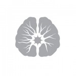 Neuroplasticity Group icon