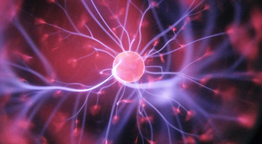 What Is Neuroplasticity?