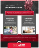 M12661_Neuroplasticity_Infographic_04.21