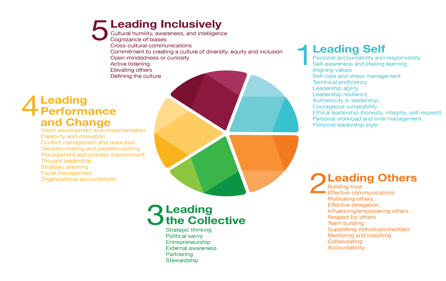 Leadership Mentoring Program Competencies Framework - IMAGE