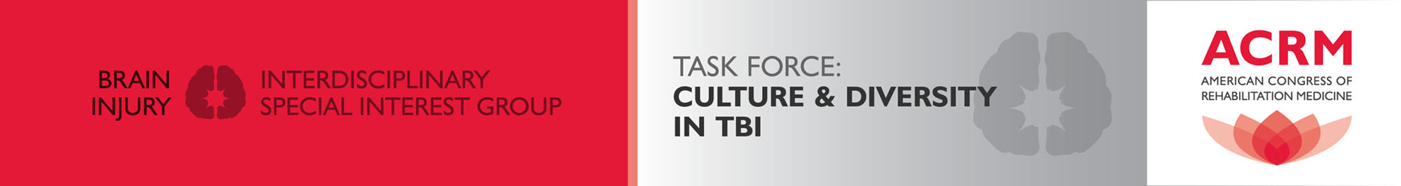 BI-ISIG Culture & Diversity in TBI Task Force