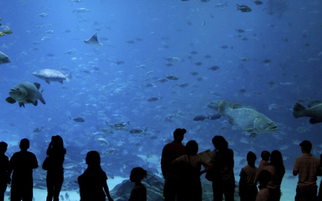 AtlantaAquarium_banner