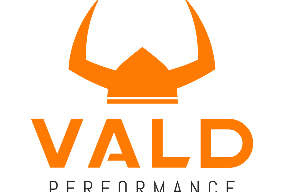 Vald Performance logo – Orange+Grey