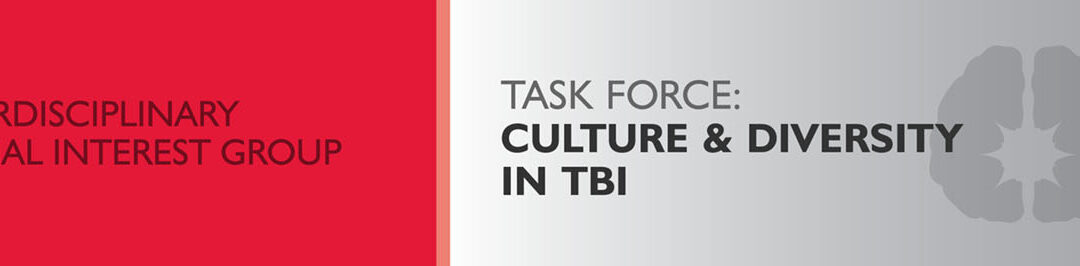 BI_Header_Culture & Diversity in TBI_TF_2000x266_200