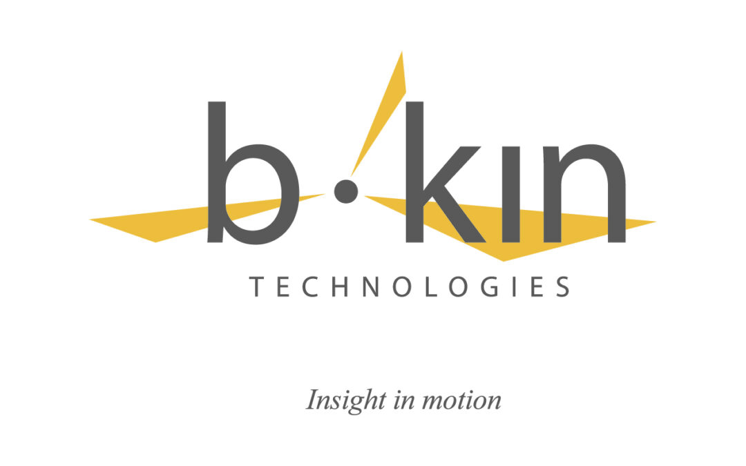 b-kin technologies, ltd. logo