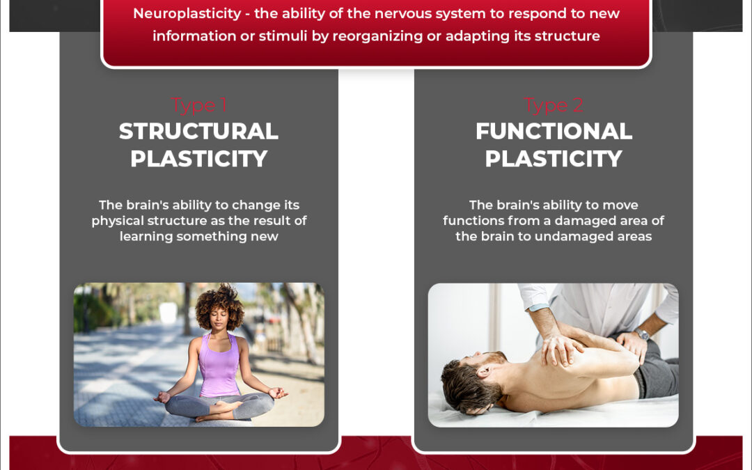 M12661_Neuroplasticity_Infographic_04.21