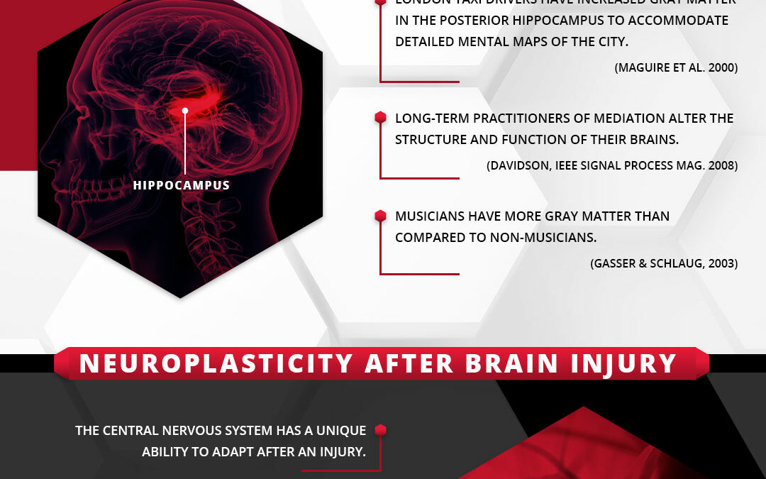 Neuroplasticity and TBI Recovery